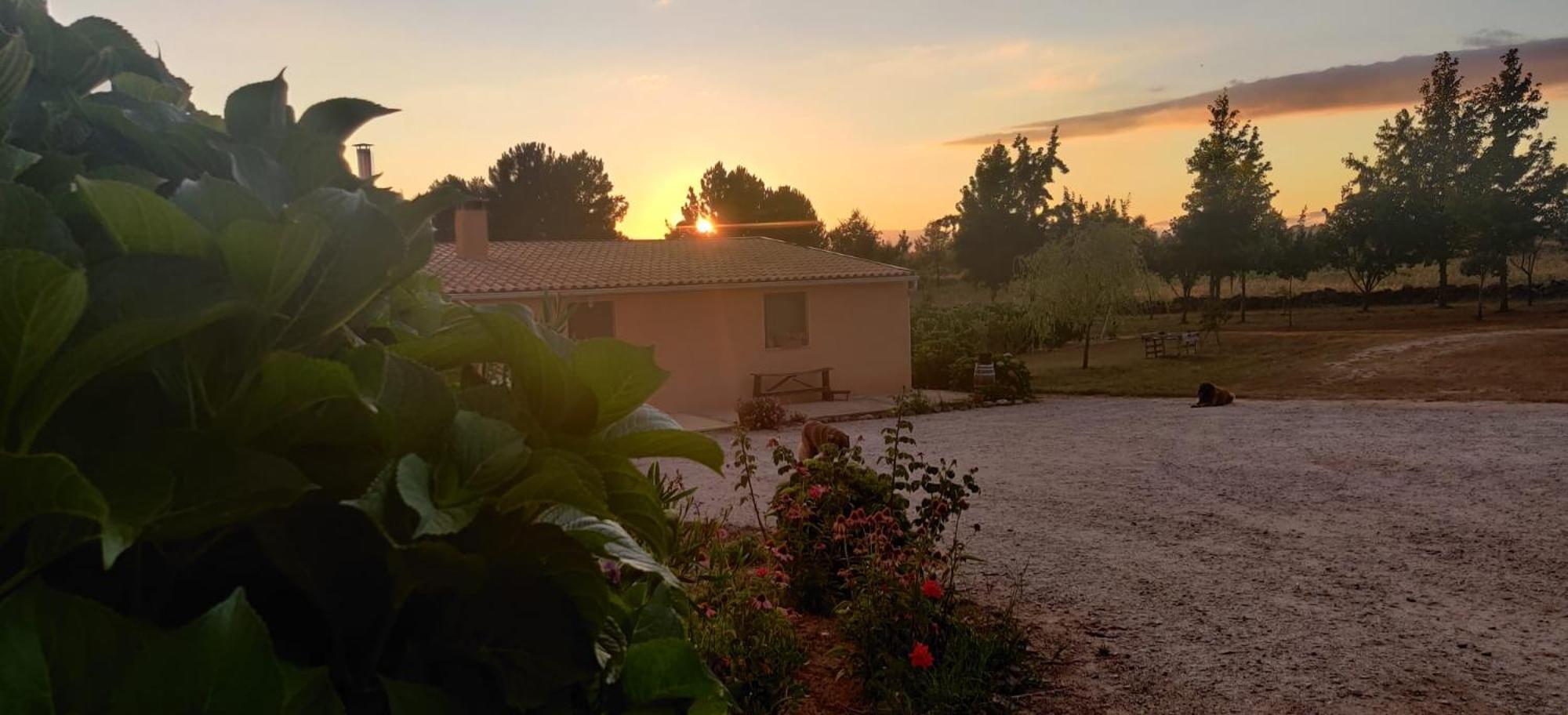 Quinta Damigo Guest House Seia Exterior photo