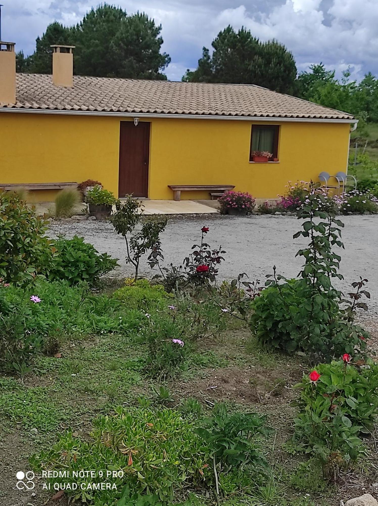 Quinta Damigo Guest House Seia Exterior photo